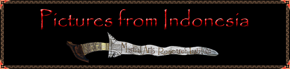 Pictures from Indonesia